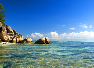 escale,Aride-Seychelles_zoom,SC,ARD,21952.jpg