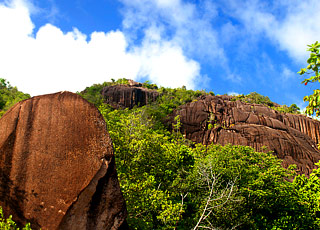 escale,Aride-Seychelles_zoom,SC,ARD,21956.jpg