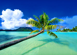 escale,Astove-Seychelles_zoom,SC,AST,38699.jpg