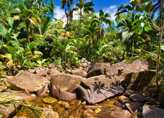 escale,Astove-Seychelles_zoom,SC,AST,38705.jpg