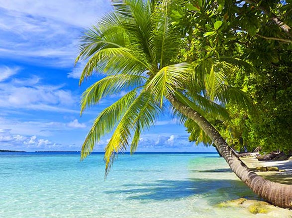 escale,Baa Atoll-Maldives_zoom,MV,BAL,54290.jpg