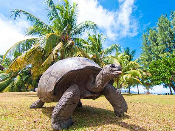 Escale Iles Galapagos ( Baie Post Office)