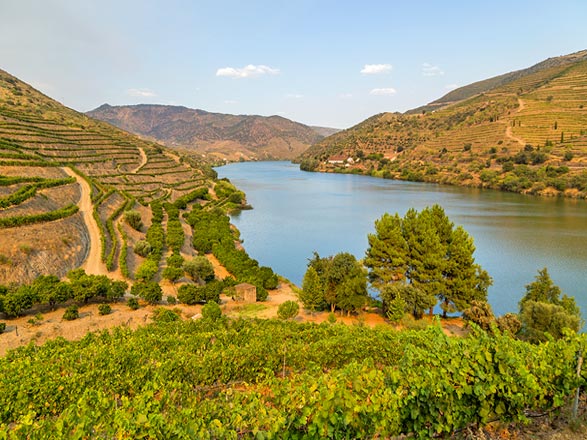 Escale Vega de Teron (excursion à Salamanque) - Barca d'Alva (Portugal)