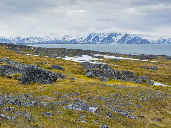 escale,Bellsund-Svalbard Et Île Jan Mayen_zoom,SJ,BEL,517395.jpg