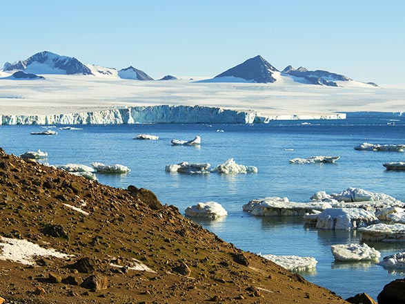 escale,Brown Bluff (Antarctique)-Antarctique_zoom,AQ,ZZZ,38135.jpg