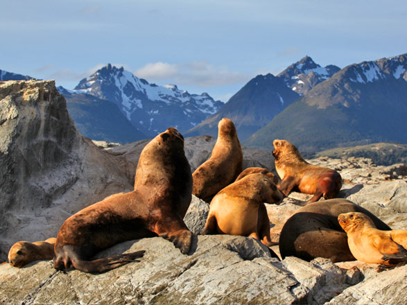Escale Canal de Beagle