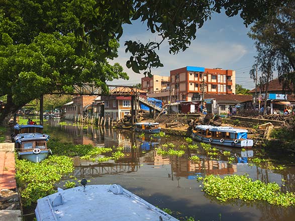 escale,Cochin-Inde_zoom,IN,COK,36072.jpg