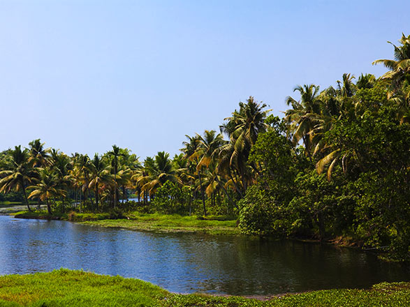escale,Cochin-Inde_zoom,IN,COK,36075.jpg