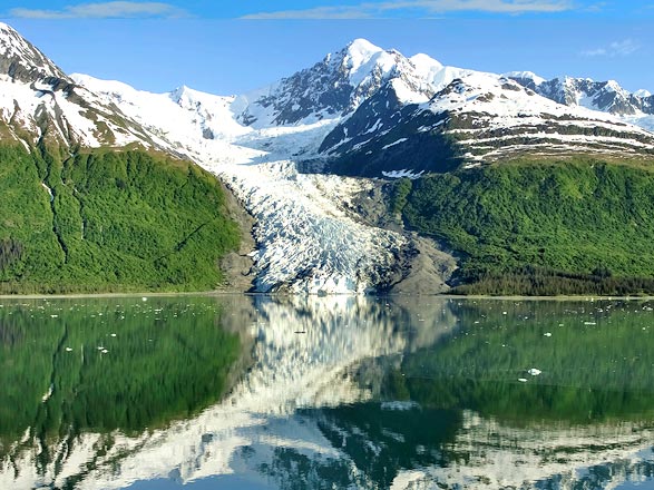 Escale Alaska (College Fjord)