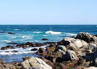 escale,Coquimbo-Chili_zoom,CL,CQQ,8033.jpg