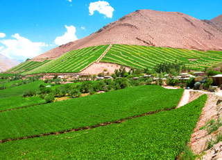 escale,Coquimbo-Chili_zoom,CL,CQQ,8051.jpg
