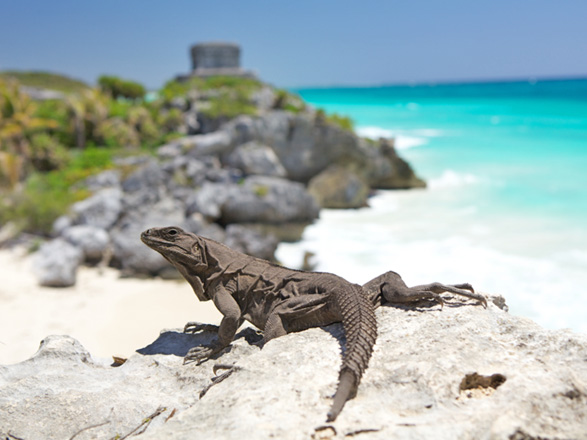 escale,Costa Maya-Mexique_zoom,MX,CMY,71993.jpg