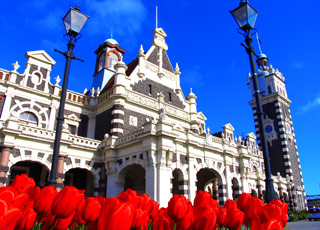 Escale Nouvelle-Zélande (Dunedin)