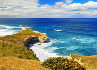 Escale Nouvelle-Zélande (Dunedin)