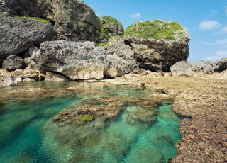 escale,Eden-Australie_zoom,AU,QDN,24941.jpg