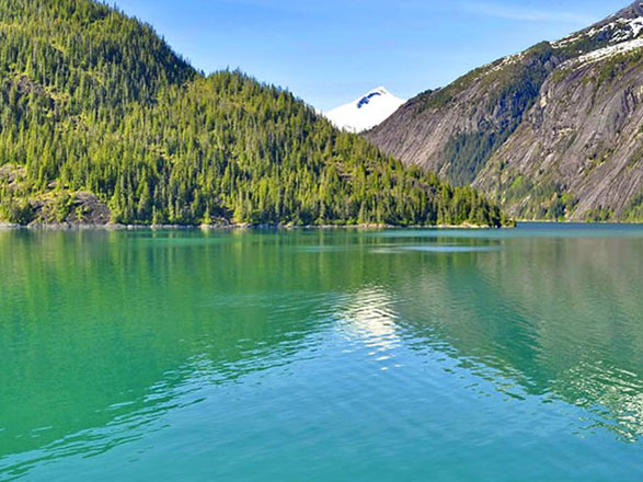 Escale Alaska (Endicott Arm Fjord)