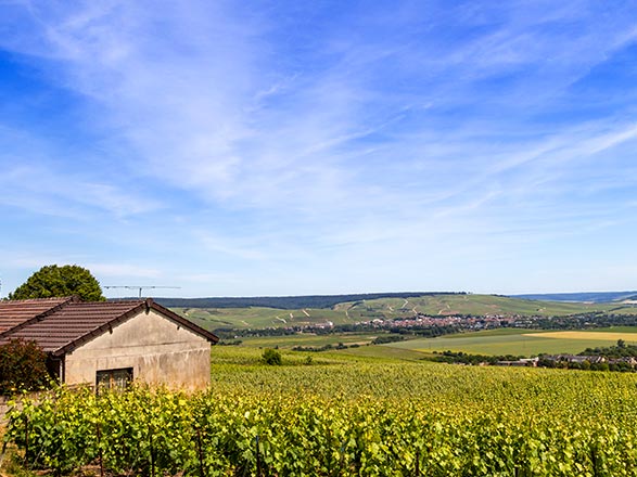 Escale EPERNAY