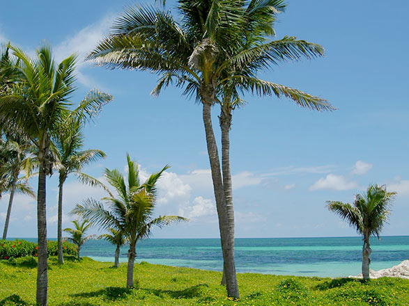 escale,Freeport-Bahamas_zoom,BS,FPO,33322.jpg