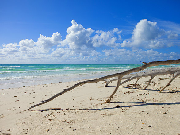 escale,Freeport-Bahamas_zoom,BS,FPO,33325.jpg