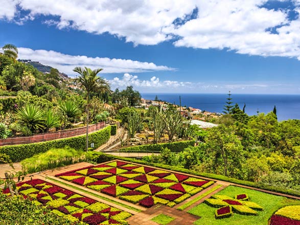 Escale Madère (Funchal)