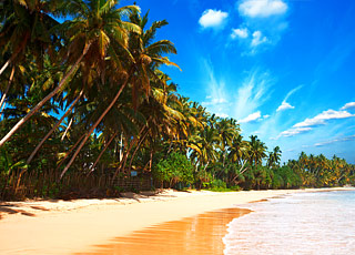 escale,Galle-Sri Lanka_zoom,LK,GAL,9464.jpg