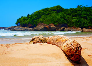 escale,Galle-Sri Lanka_zoom,LK,GAL,9470.jpg