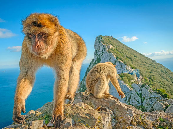 Escale Gibraltar