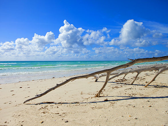 escale,Grand Bahama-Bahamas_zoom,BS,GBI,36715.jpg