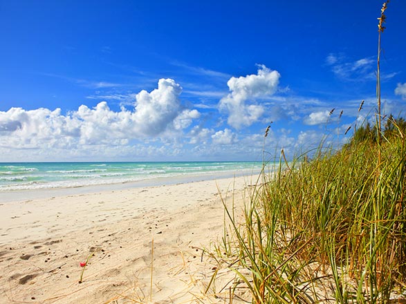 escale,Grand Bahama-Bahamas_zoom,BS,GBI,36716.jpg