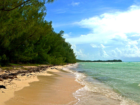 escale,Grand Bahama-Bahamas_zoom,BS,GBI,36717.jpg