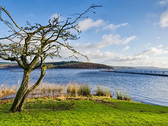 escale,Greenock-Royaume-uni_zoom,GB,GRK,35193.jpg
