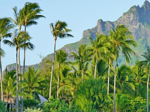 Escale Iles Marquises (Hakahetau)