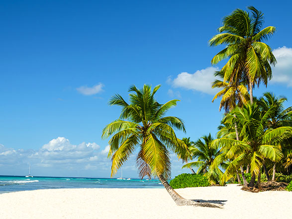escale,Harvest Caye-Belize_zoom,BZ,BPI,38362.jpg