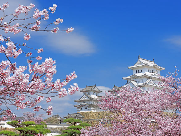 escale,Himeji-Japon_zoom,JP,HIM,66173.jpg