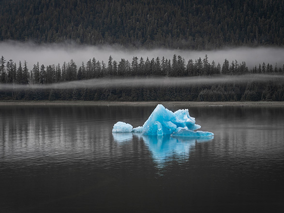 Escale Alaska (Holkham Bay Glacier)