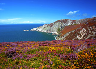 escale,Holyhead -Royaume-uni_zoom,GB,HLY,12223.jpg
