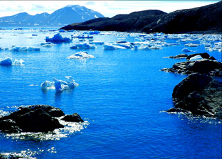 escale,Hornsund-Svalbard Et Île Jan Mayen_zoom,SJ,HNO,9739.jpg