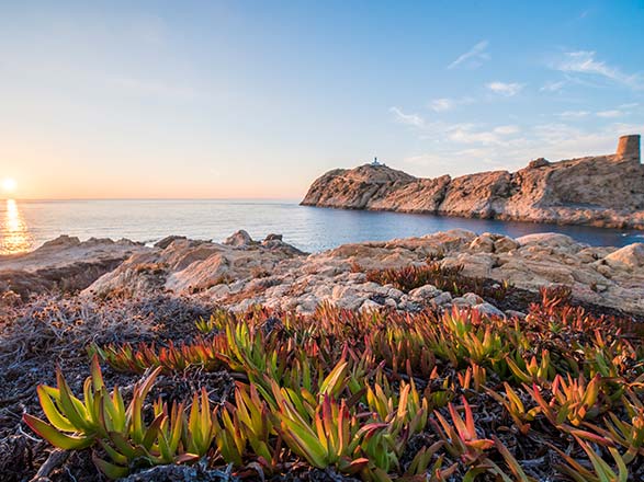 Escale Corse (Ile Rousse)