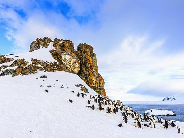 Escale Découverte de l'Antarctique