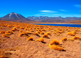 Escale Chili (Iquique)