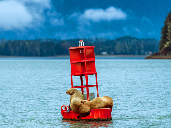 Escale Alaska (Juneau)