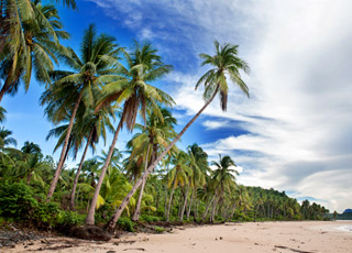 Escale Indonésie (Triton Bay)