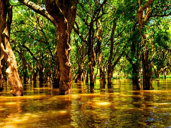 escale,Kampong Tralach-Cambodge_zoom,KH,KPT,46811.jpg