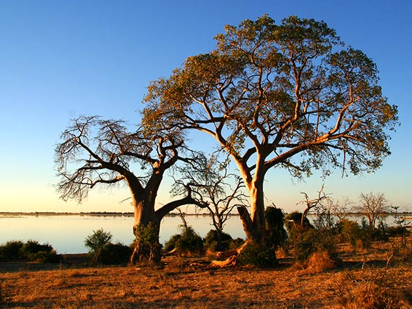 Escale Kasane (Botswana)