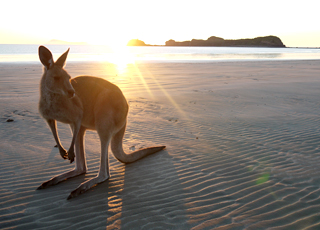 escale,Kingscote-Australie_zoom,AU,KGC,25351.jpg