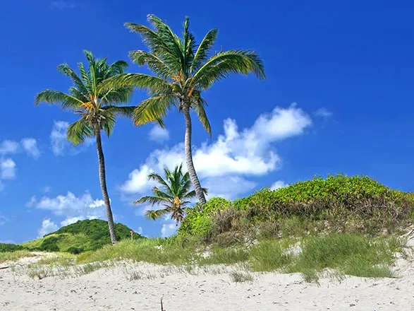 Escale St Vincent et les Grenadines (Kingstown)