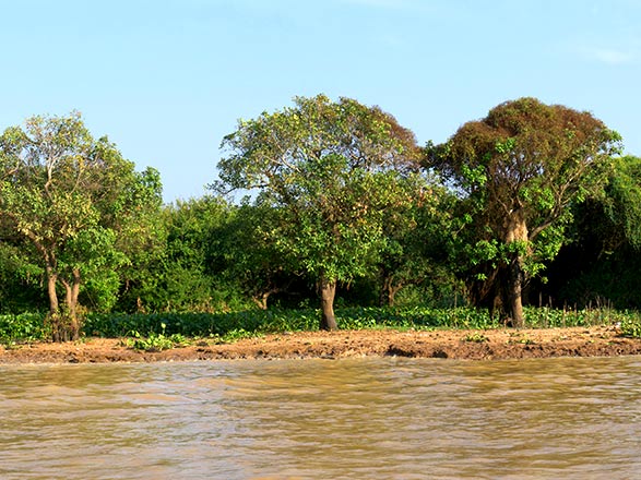 Escale Siem Reap - Angkor