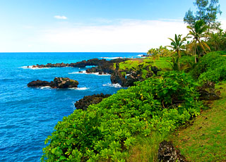 escale,Lahaina-États-unis_zoom,US,LHN,10357.jpg