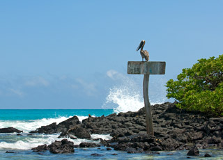Escale Australie (Lizard Island)