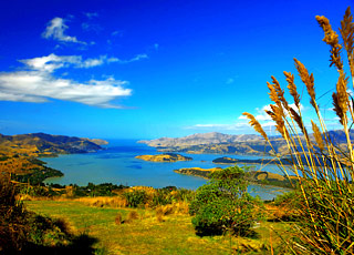 escale,Lyttelton-Nouvelle-zélande_zoom,NZ,LYT,9850.jpg
